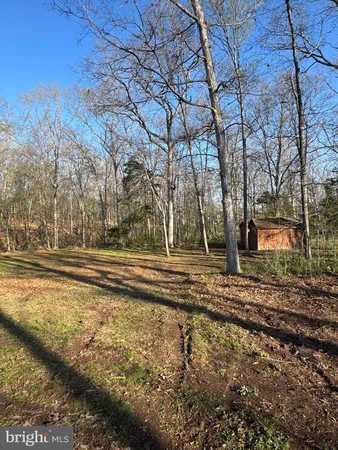 a view of backyard of house