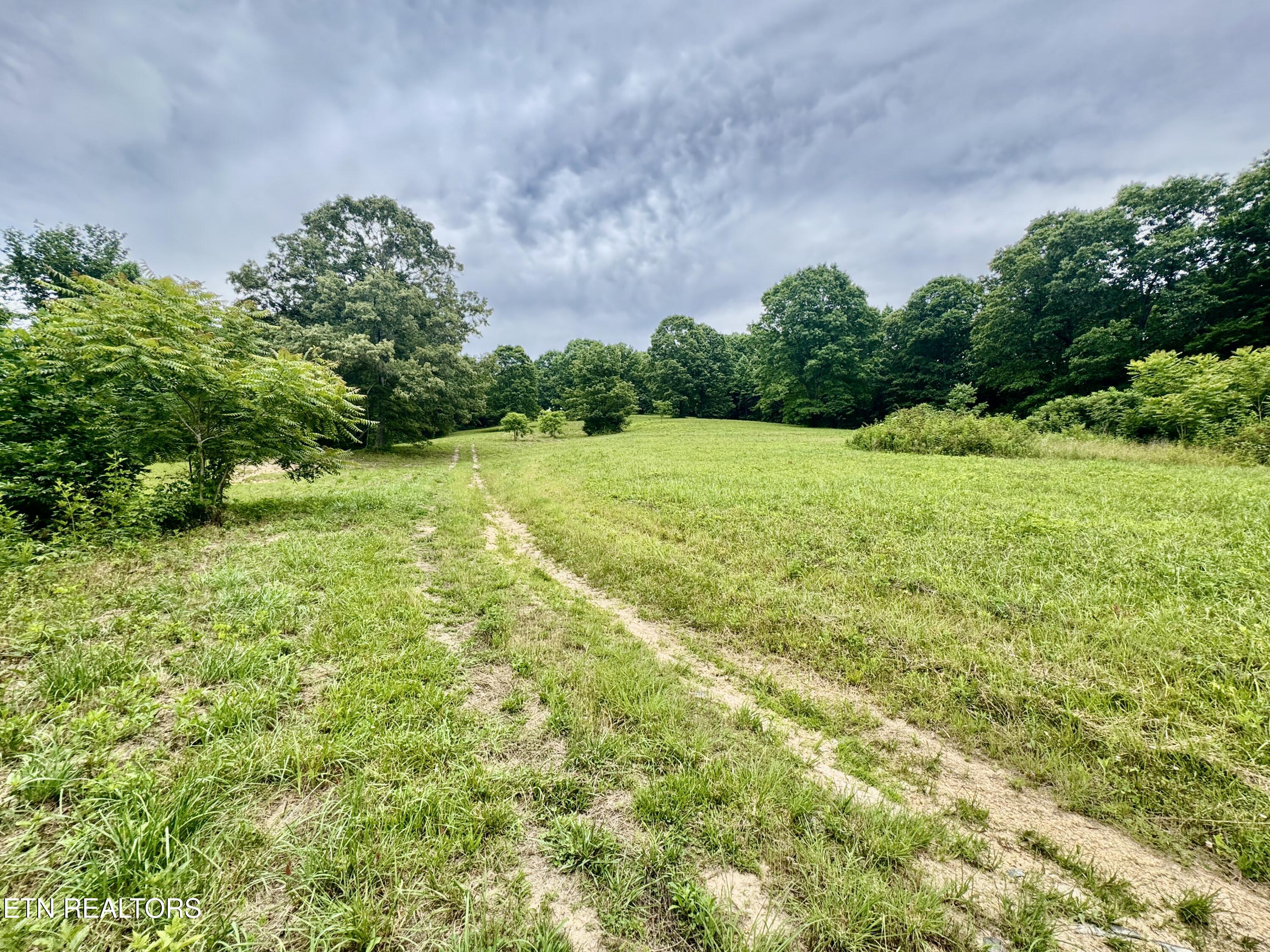 378 Johnson Hollow Road New Tazewell, TN 37825 - Photo 3 of 35 1-3