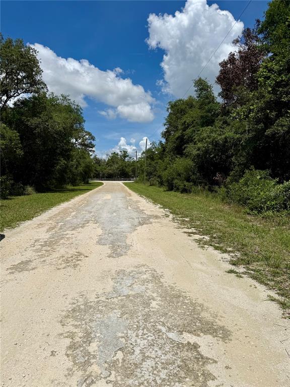 Long Circle Webster, FL 33597 - Photo 8 of 11