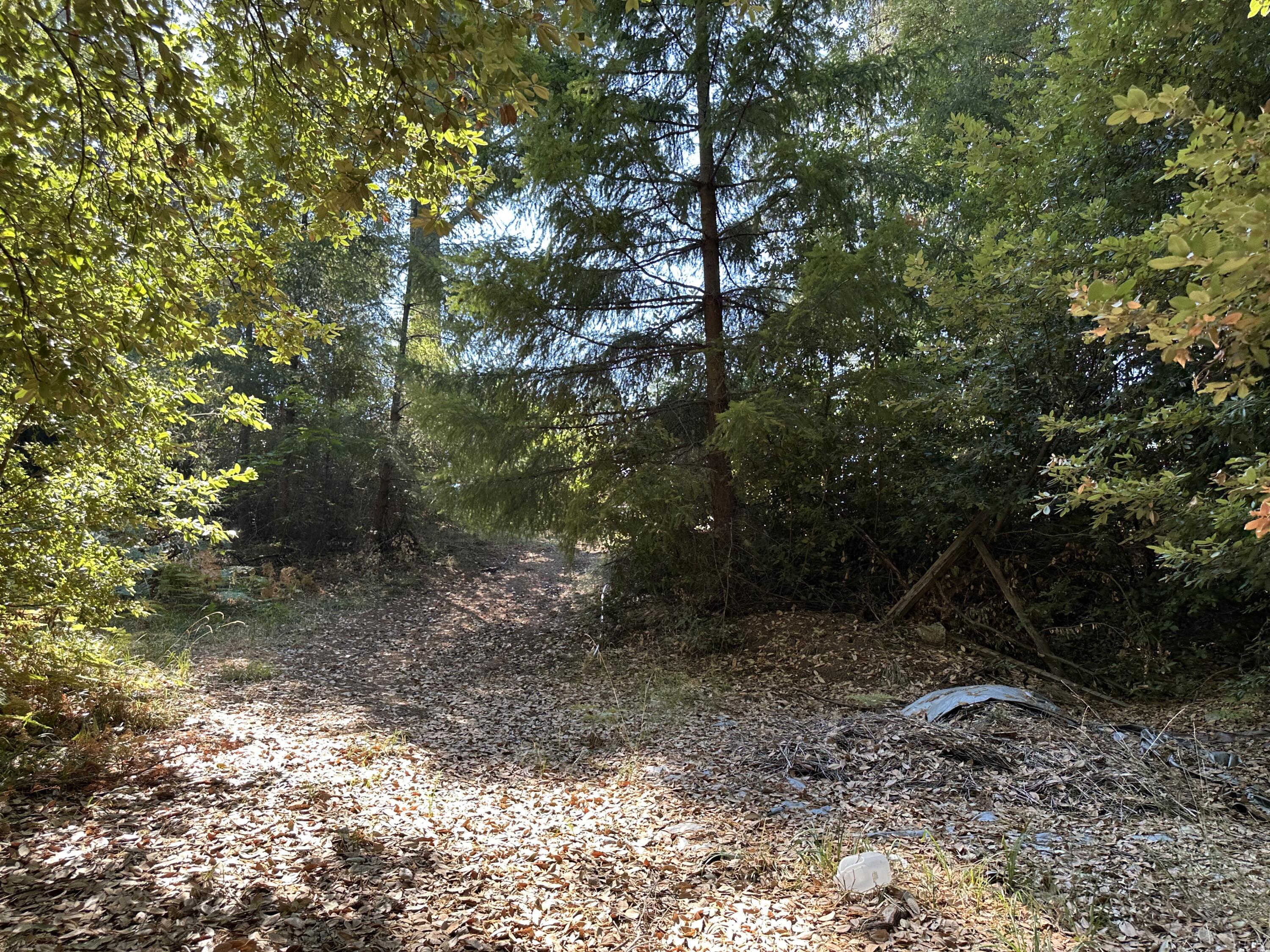 4840 Doody Ridge Road Garberville, CA 95542 - Photo 65 of 80