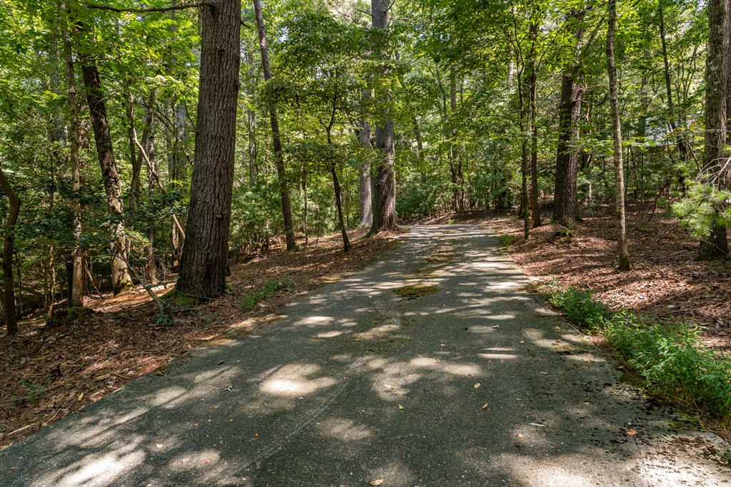 263 Indian Cave Road Ellijay, GA 30536 - Photo 43 of 50