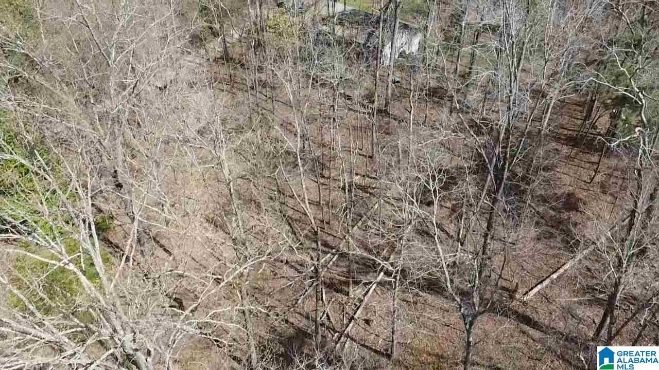 8454 Shoreside Lane, Unit LOT Helena, AL 35022 - Photo 2 of 4