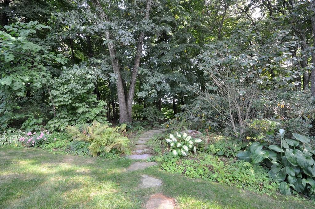 103 Revolutionary Road Concord, MA 01742 - Photo 19 of 39 a view of a forest with a tree