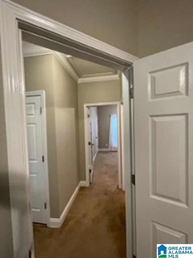2261 Brookside-Mount Olive Road Mount Olive, AL 35117 - Photo 24 of 34