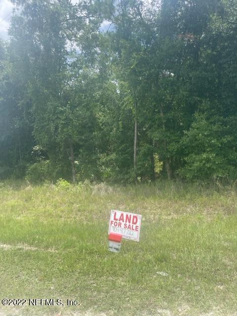 400 Hoot Owl Road Satsuma, FL 32189 - Photo 1 of 5 IMG_4779