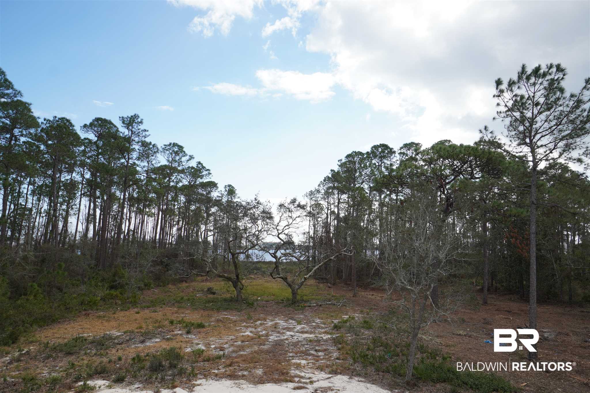 521 West Fort Morgan Road Gulf Shores, AL 36542 - Photo 45 of 48 Little Lagoon