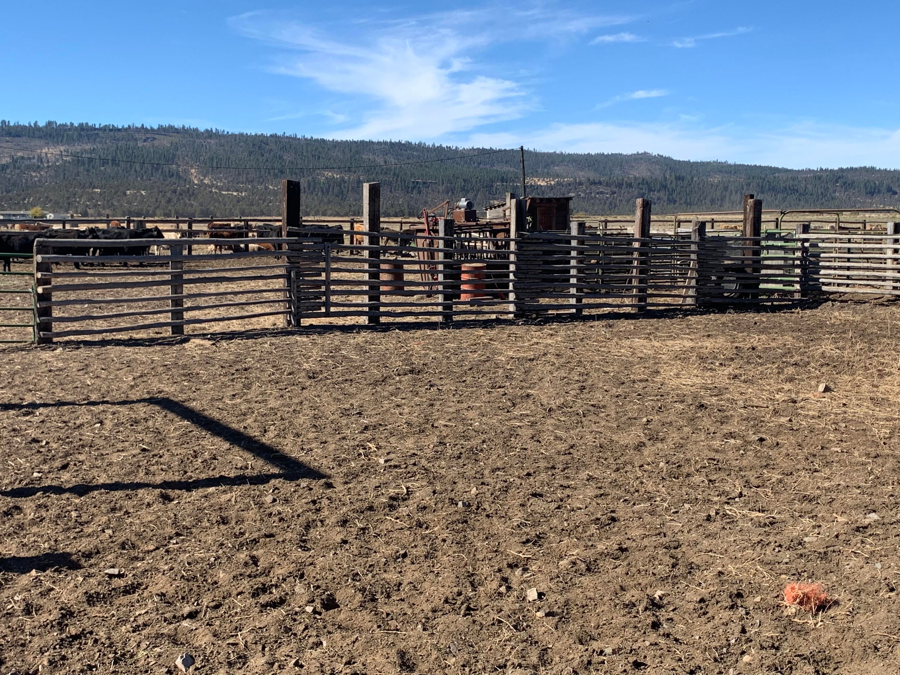 Corrals Westside Ranch