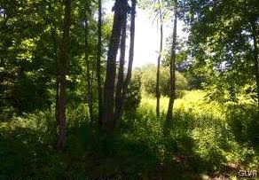 700 Creek Road Bangor, PA 18013 - Photo 2 of 2 Gallery Image 2