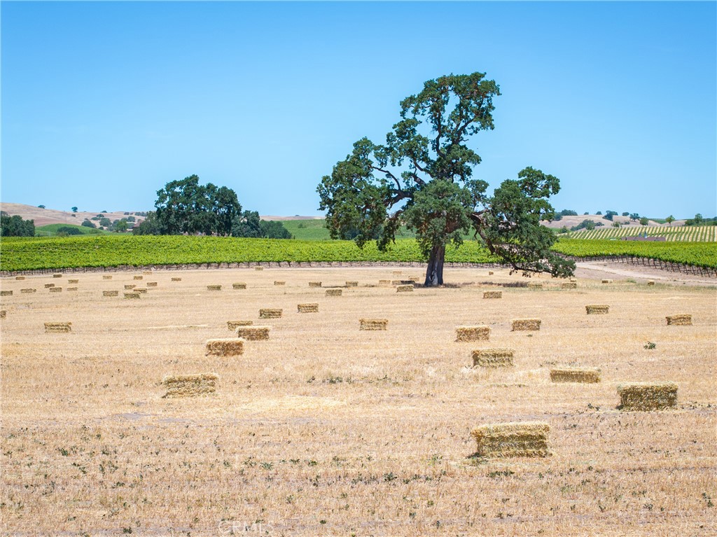 5275 Camp 8 Road Paso Robles, CA 93446 - Photo 6 of 32 a view of ocean view with beach