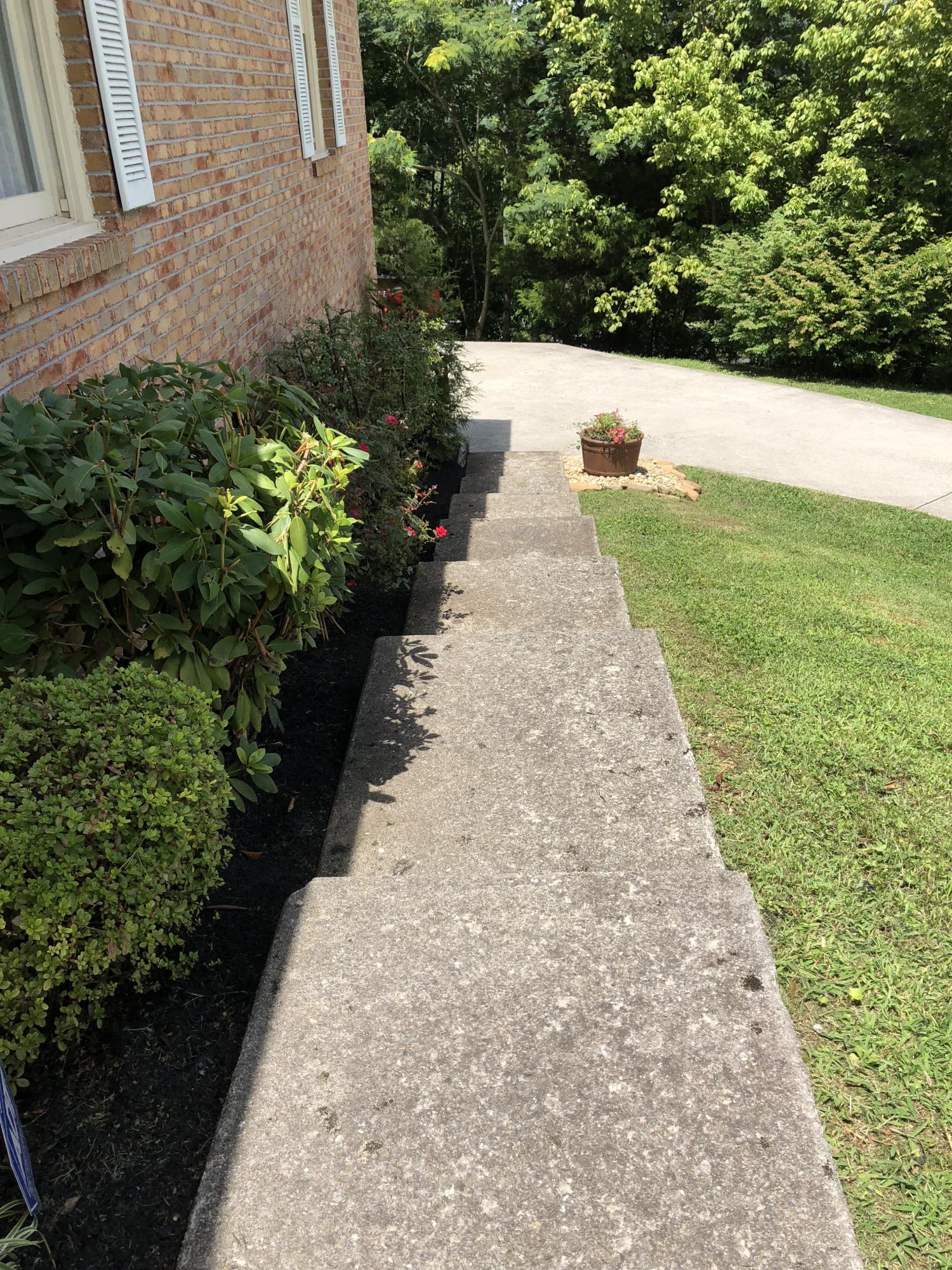 214 Den Lane Heiskell, TN 37754 - Photo 4 of 40 front entrance steps