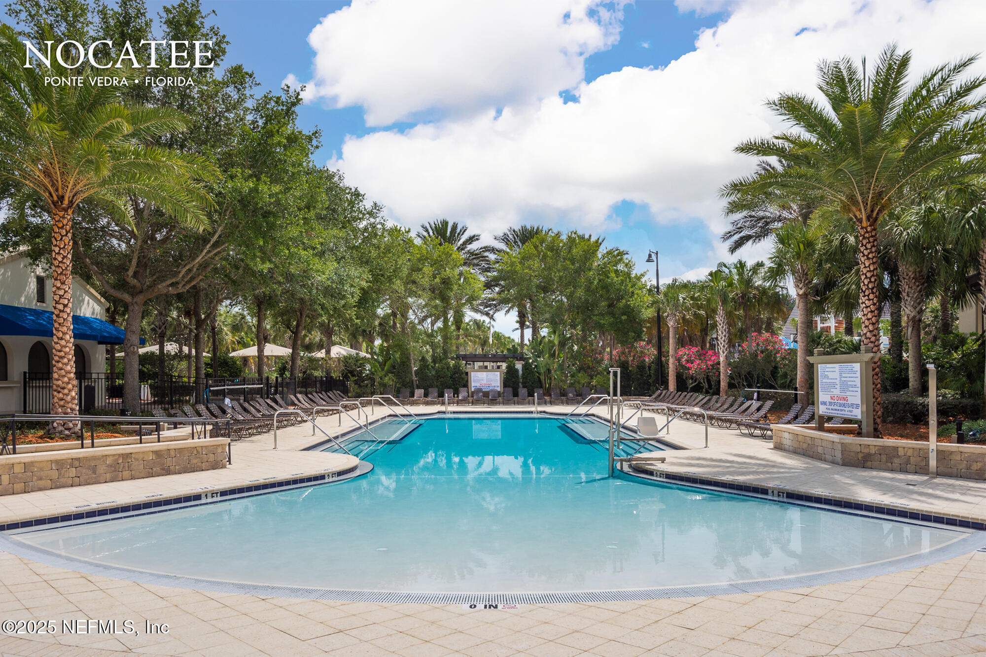 75 Myrtle Park Point Ponte Vedra, FL 32081 - Photo 33 of 38 a view of a swimming pool with palm trees