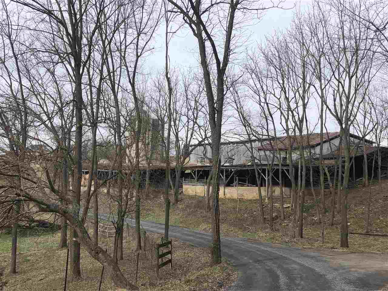 111-acres Ridge Road Linville, VA 22834 - Photo 16 of 30 Gallery Image 16