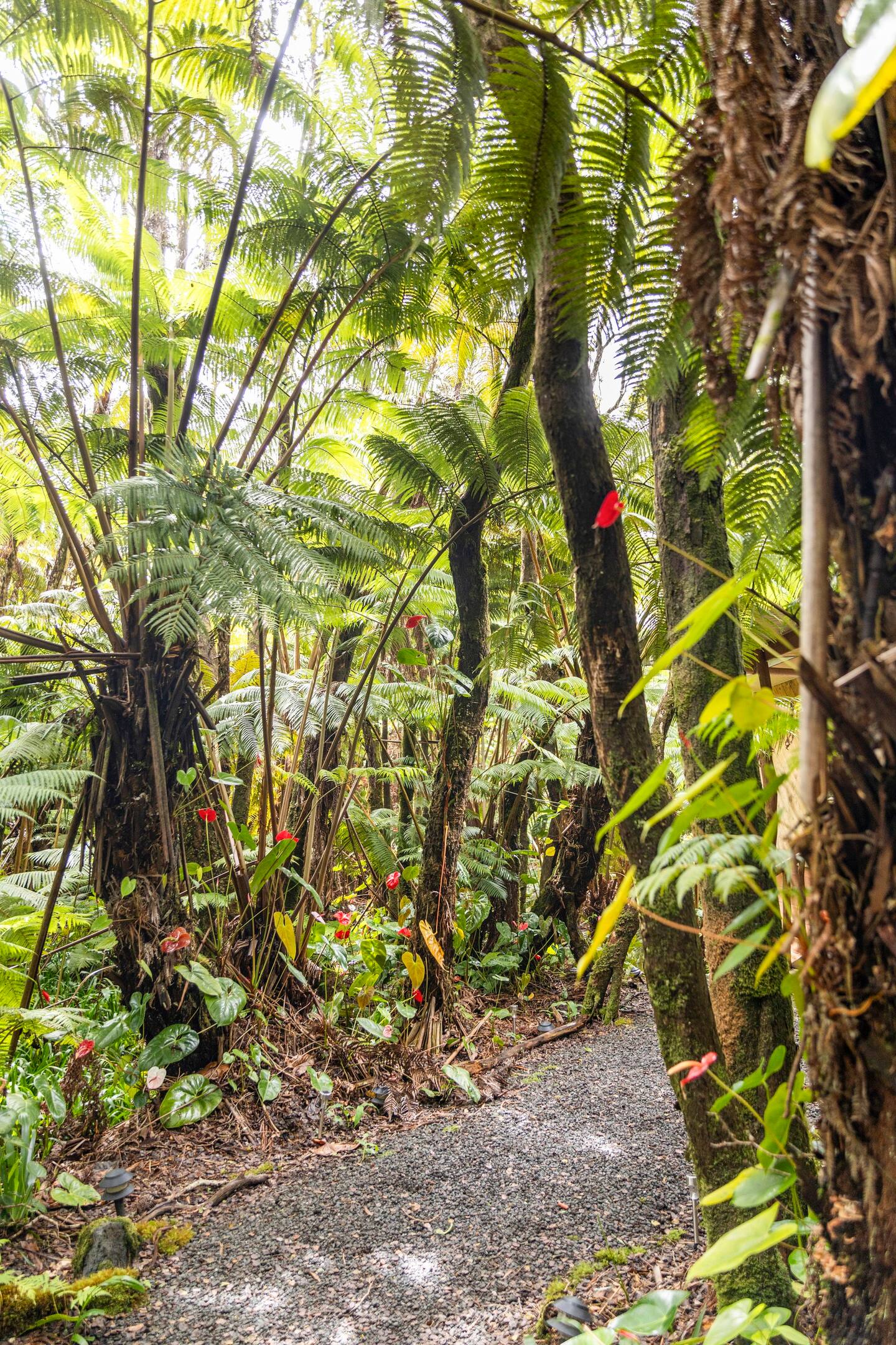 11-3828 2nd Street Volcano, HI 96785 - Photo 25 of 25
