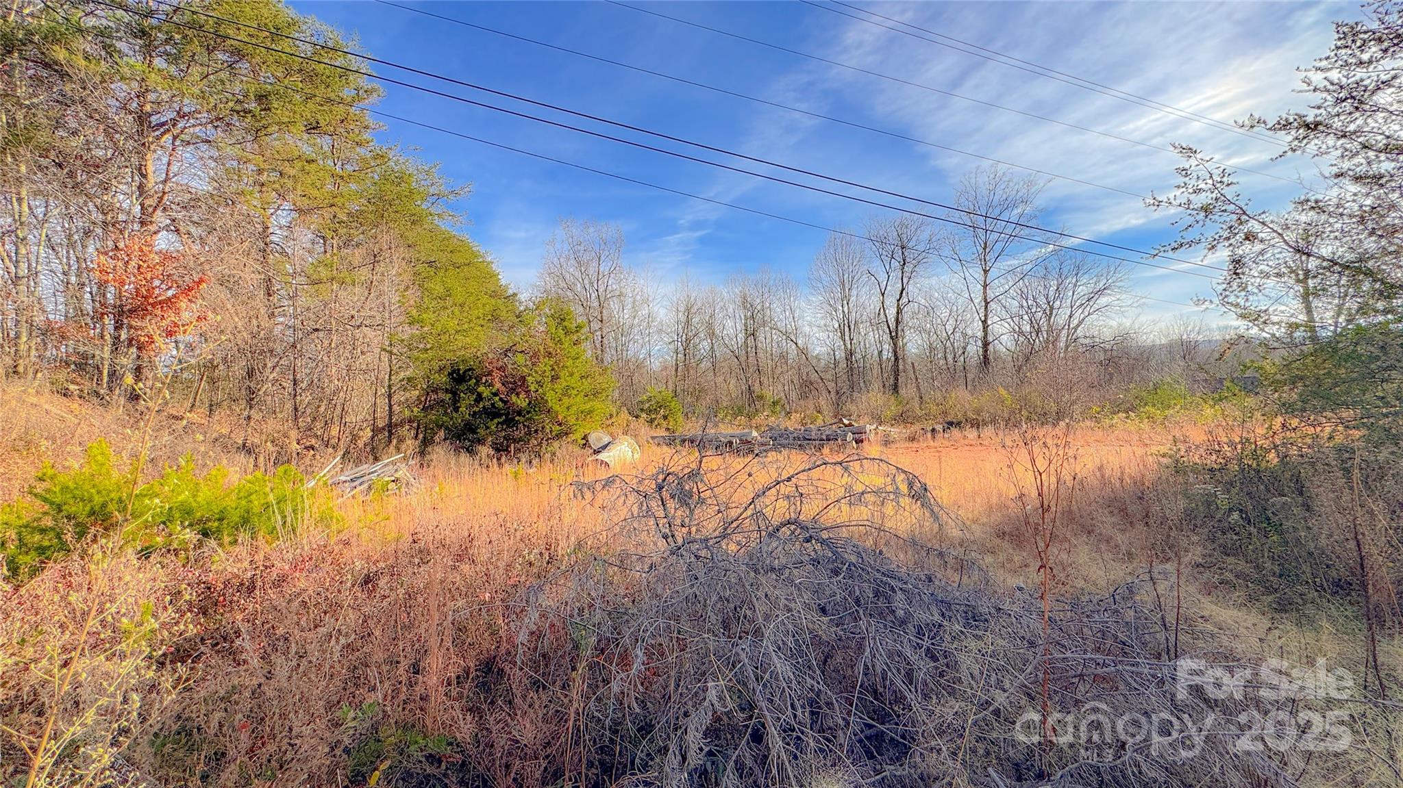 V/l Ashworth Road Marion, NC 28752 - Photo 7 of 14 a view of a yard