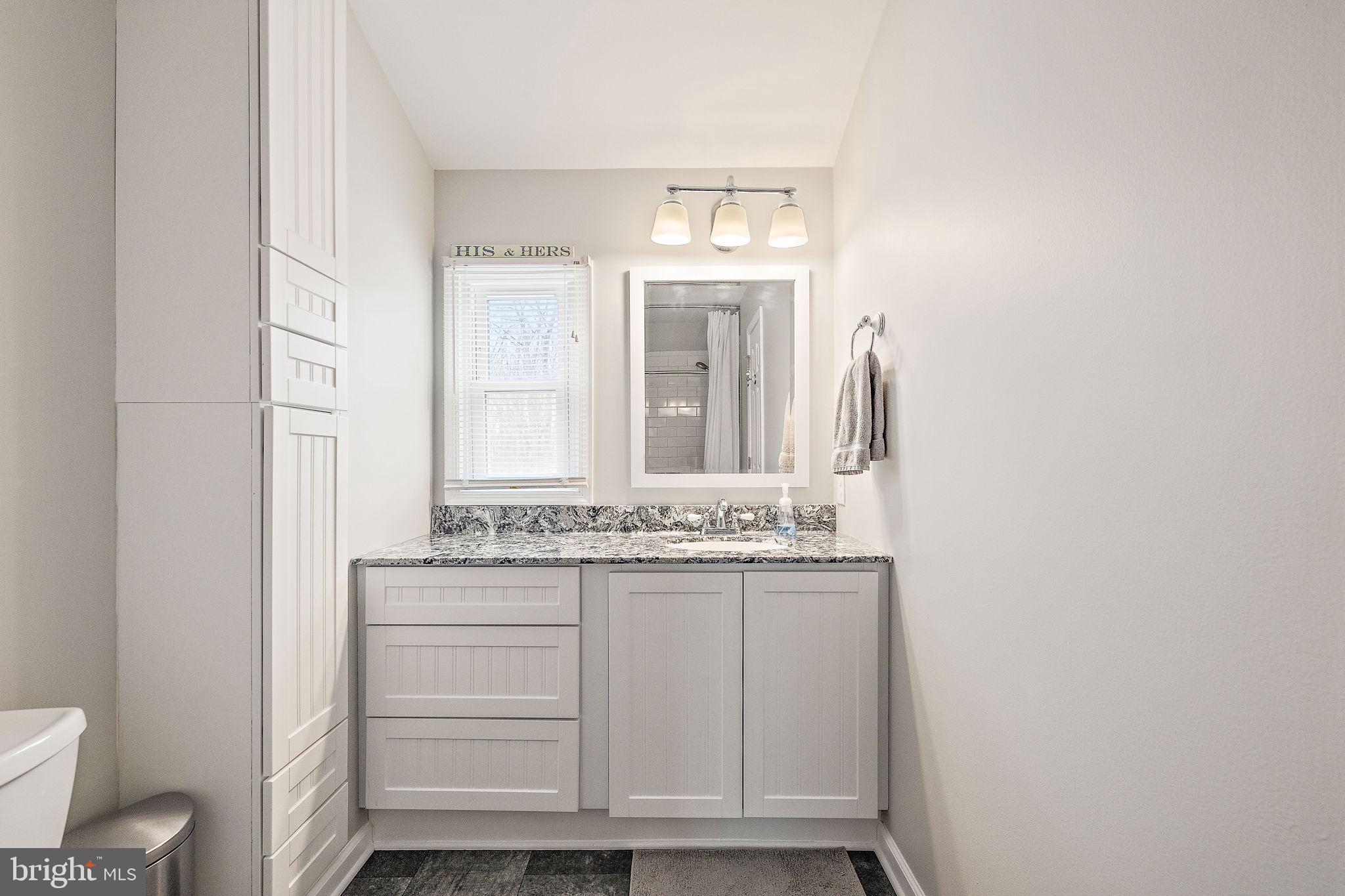1003 White Birch Drive Newark, DE 19713 - Photo 26 of 54 a bathroom with a granite countertop sink and a mirror