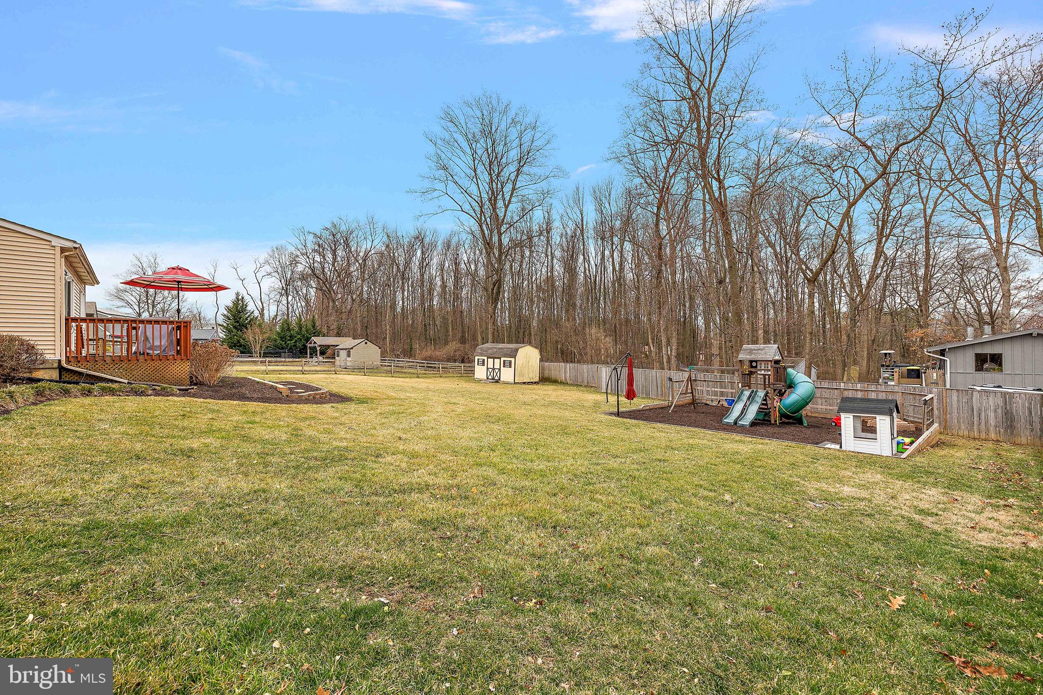 1003 White Birch Drive Newark, DE 19713 - Photo 43 of 54 a view of yard with swimming pool and trees
