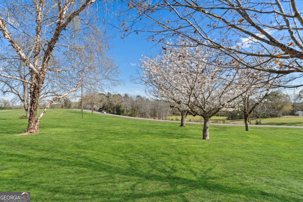 56 Claymont Road McIntyre, GA 31054 - Photo 13 of 75 a view of field with trees in the background