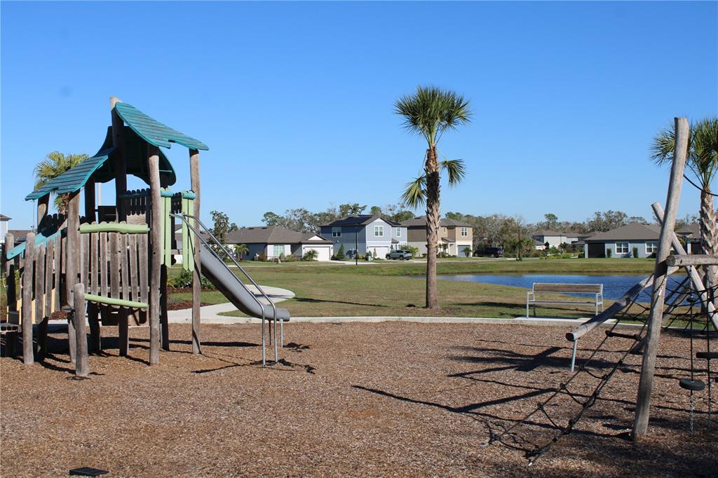8232 Reefbay Cove Parrish, FL 34221 - Photo 62 of 64 a view of a house with a swimming pool