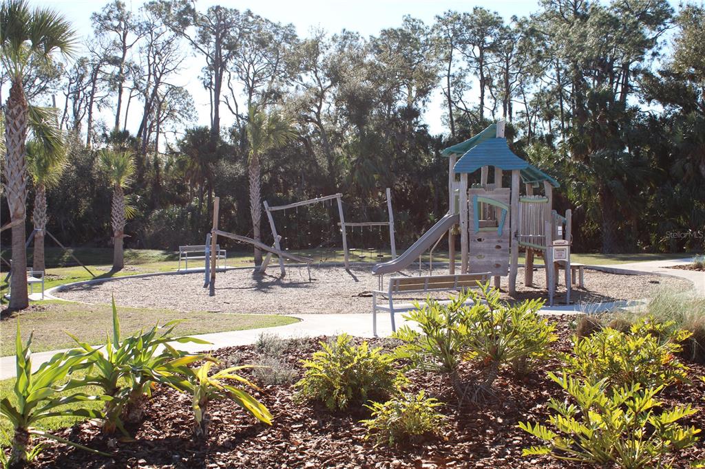 8232 Reefbay Cove Parrish, FL 34221 - Photo 63 of 64 a view of a house with backyard