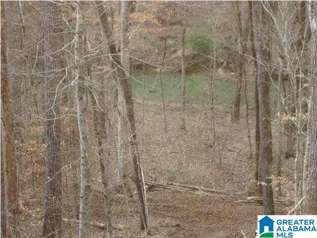 0 Riverview Drive, Unit 116 Cleveland, AL 35049 - Photo 30 of 30