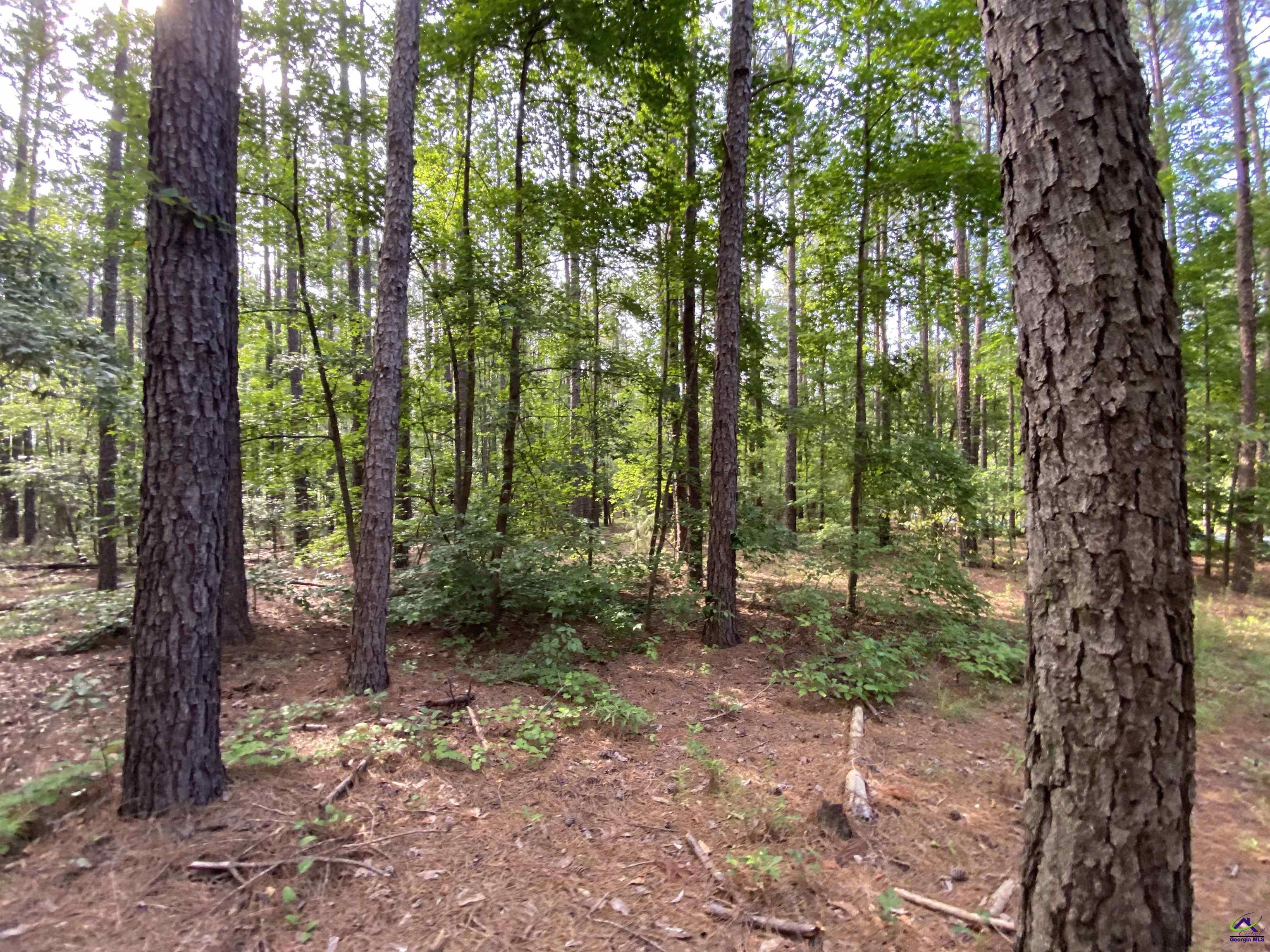 Lot 9 Cherokee Trail Road Eastman, GA 31023 - Photo 4 of 18
