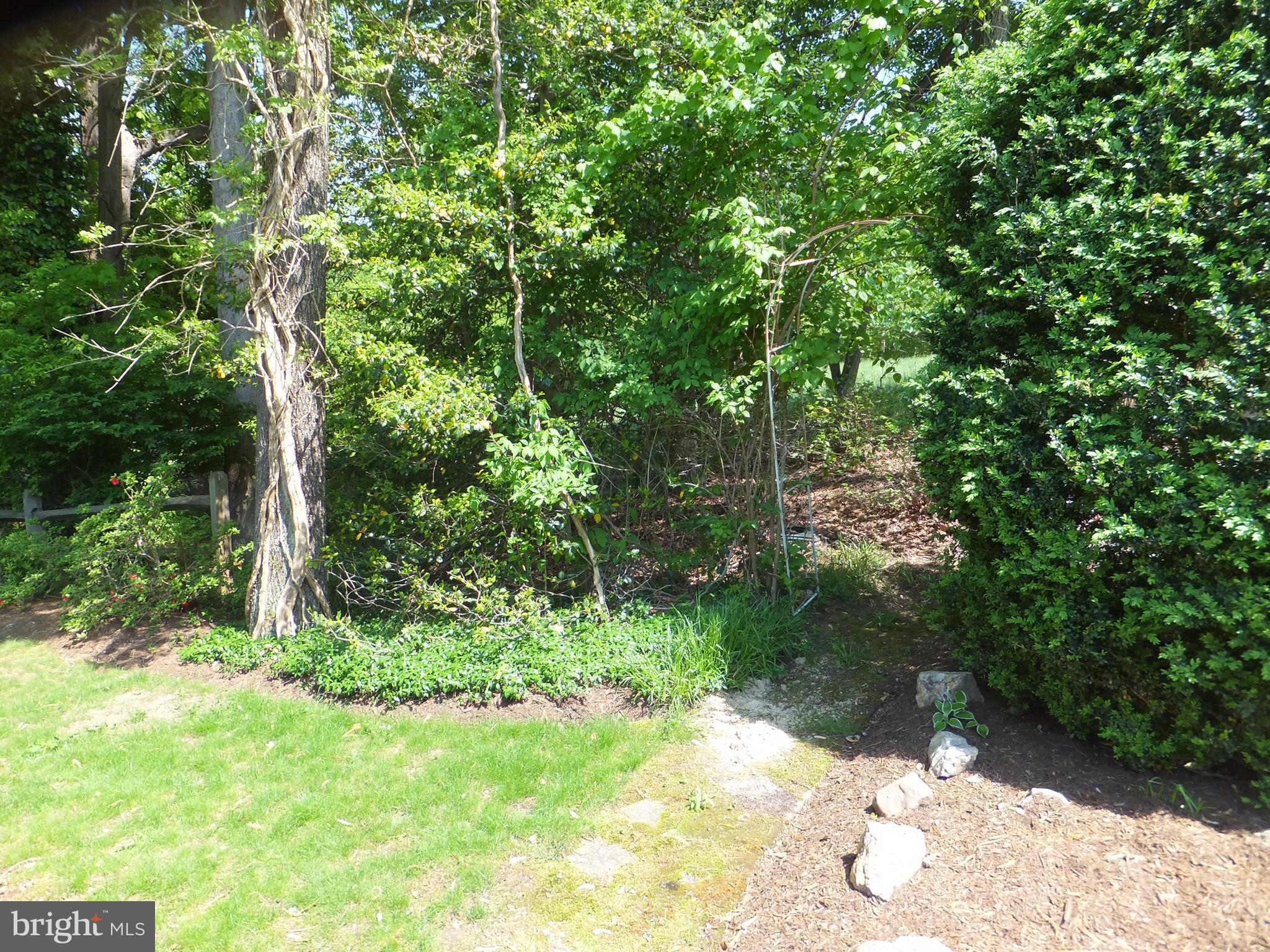 16205 Jerald Road Laurel, MD 20707 - Photo 40 of 47 LANDSCAPING
