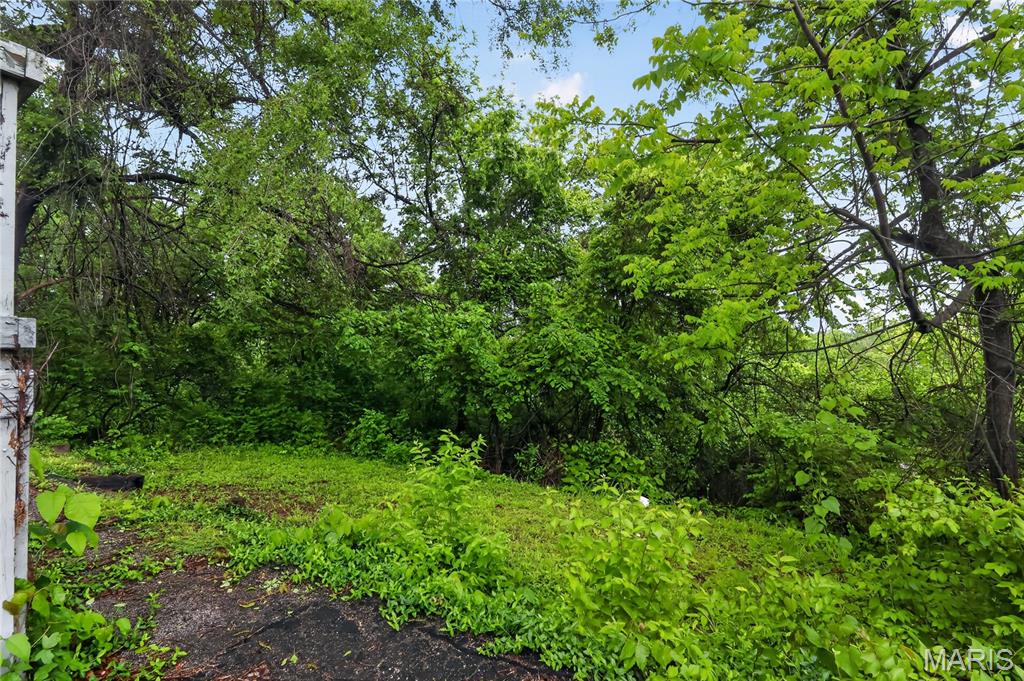 707 Ruggles Road St. Louis, MO 63135 - Photo 6 of 9