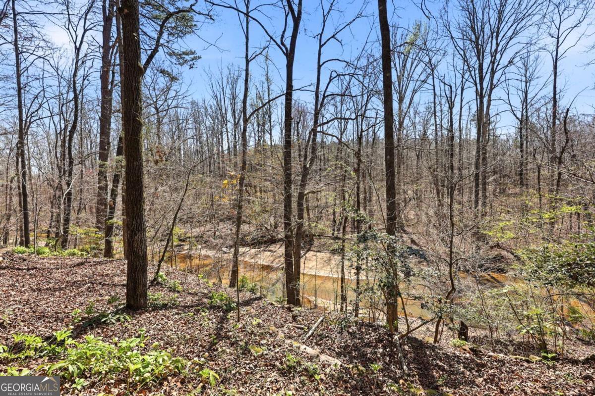 508 Providence Road Statham, GA 30666 - Photo 30 of 39 a backyard of a house with lots of green space