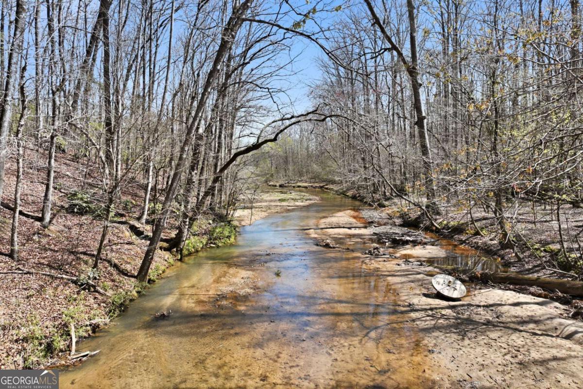 508 Providence Road Statham, GA 30666 - Photo 8 of 39 a view of yard covered with snow