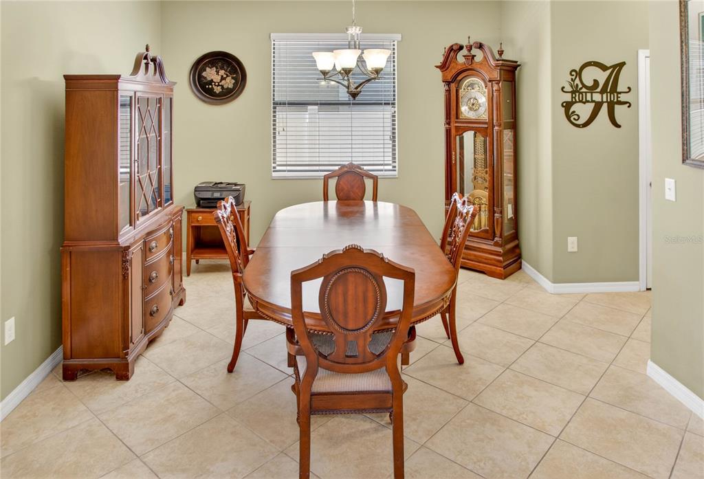 13415 White Sapphire Road Riverview, FL 33579 - Photo 5 of 96