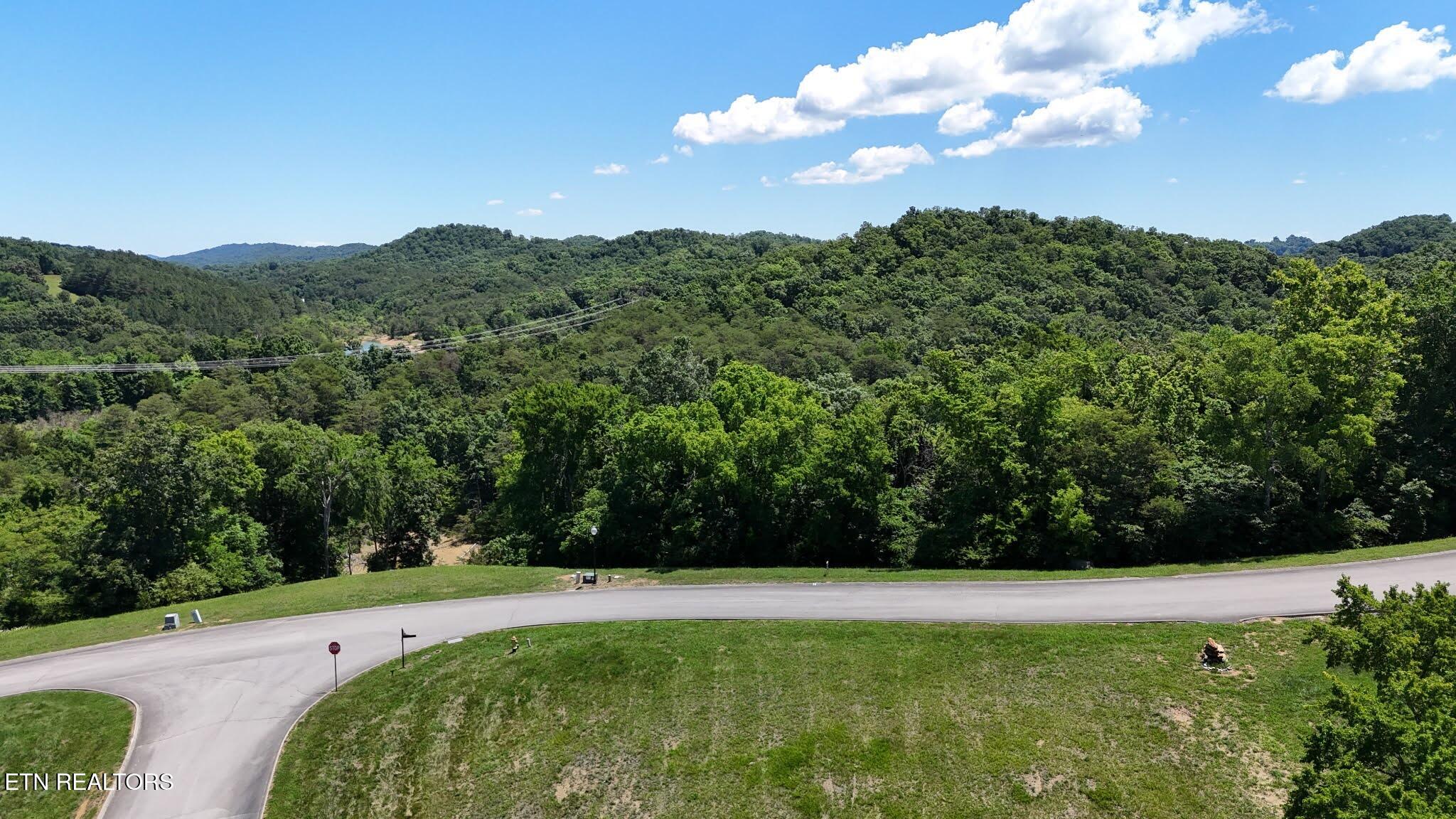 2046 Turner Landing Road Russellville, TN 37860 - Photo 20 of 32 IMG_20260608_123005 (15)