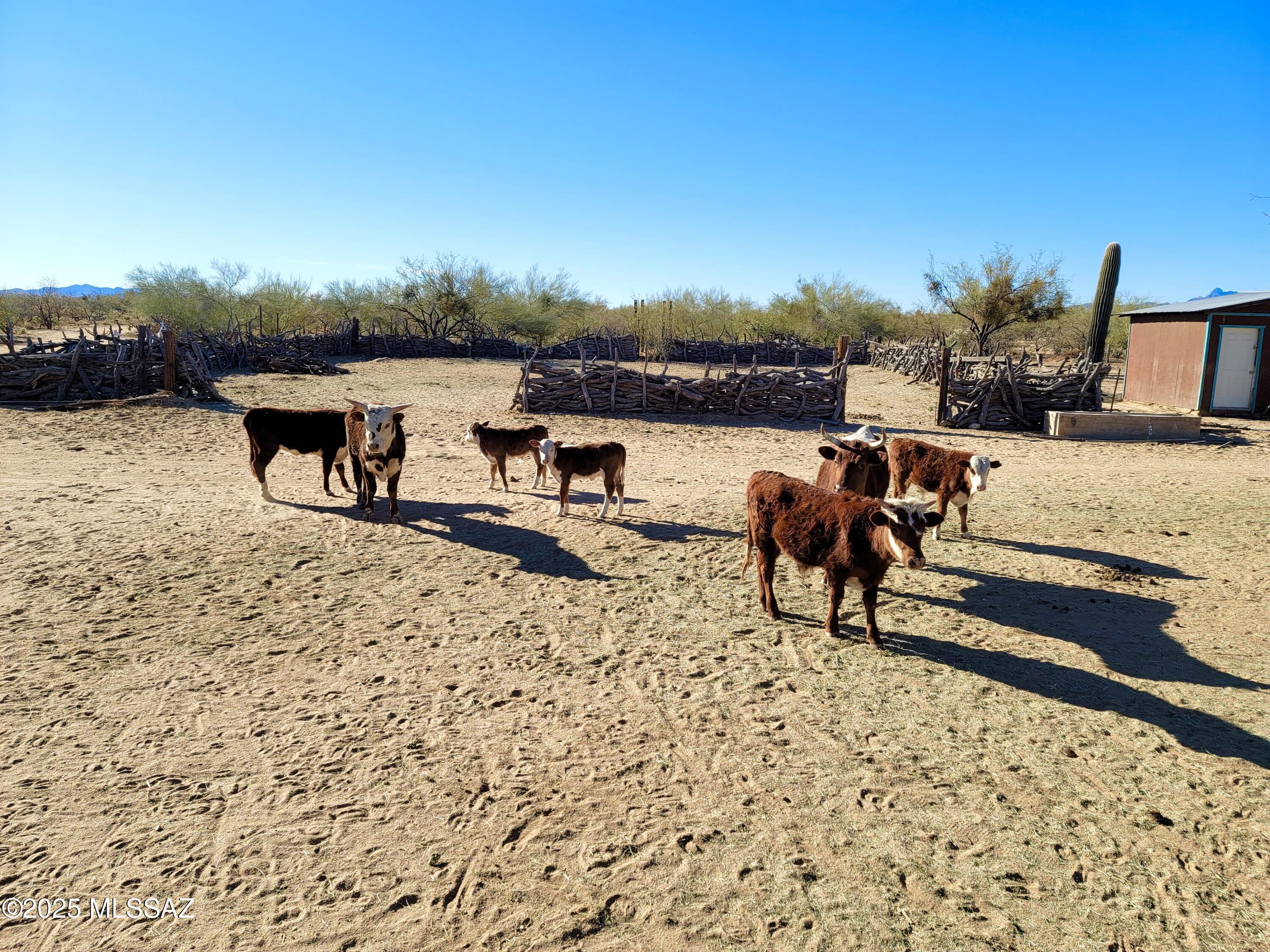 13325 South Coleman Road Tucson, AZ 85735 - Photo 43 of 48