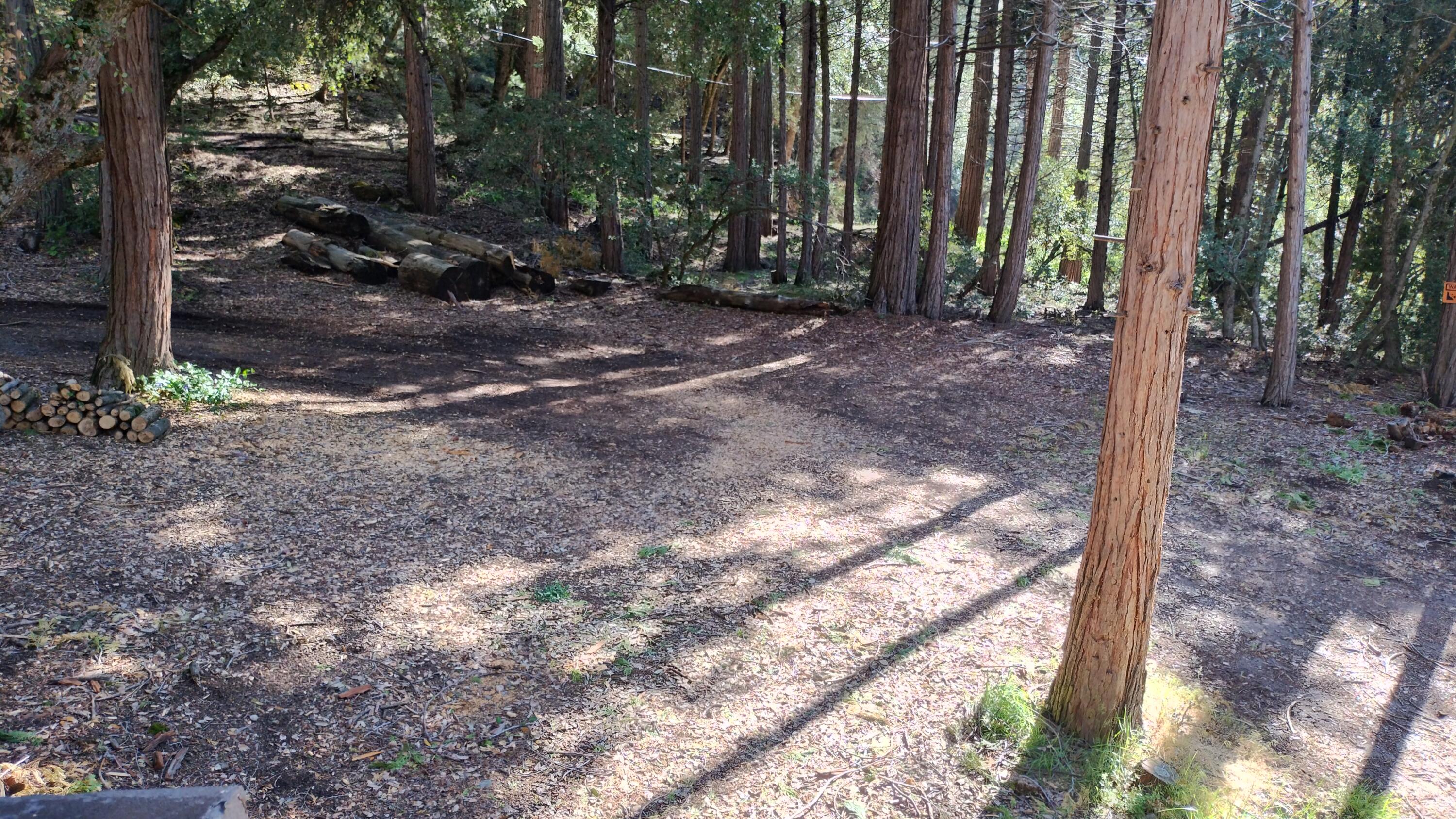 1693 Forest Rte 21S94 Camp Nelson, CA 93265 - Photo 65 of 86 a view of a forest with trees