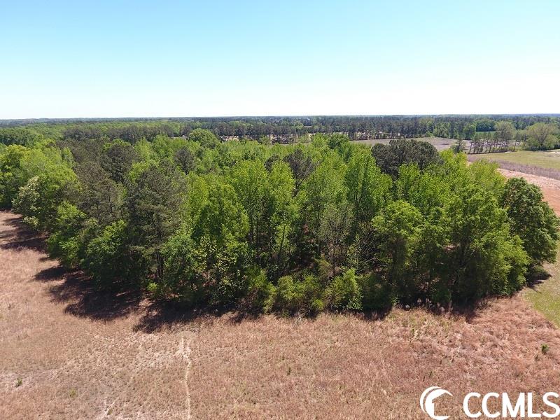 8 McQuage Farm Road Bennettsville, SC 29512 - Photo 1 of 3