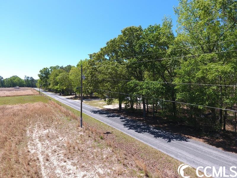 8 McQuage Farm Road Bennettsville, SC 29512 - Photo 2 of 3