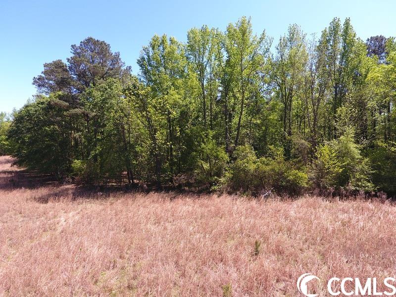 8 McQuage Farm Road Bennettsville, SC 29512 - Photo 3 of 3