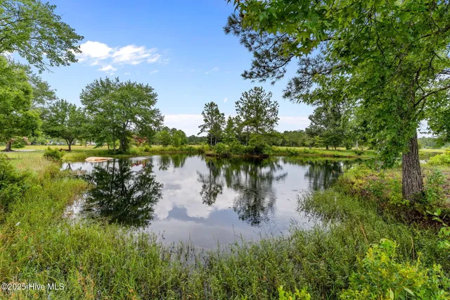 $1,100,000 | 217 Trotters Lane, Currie, NC 28435