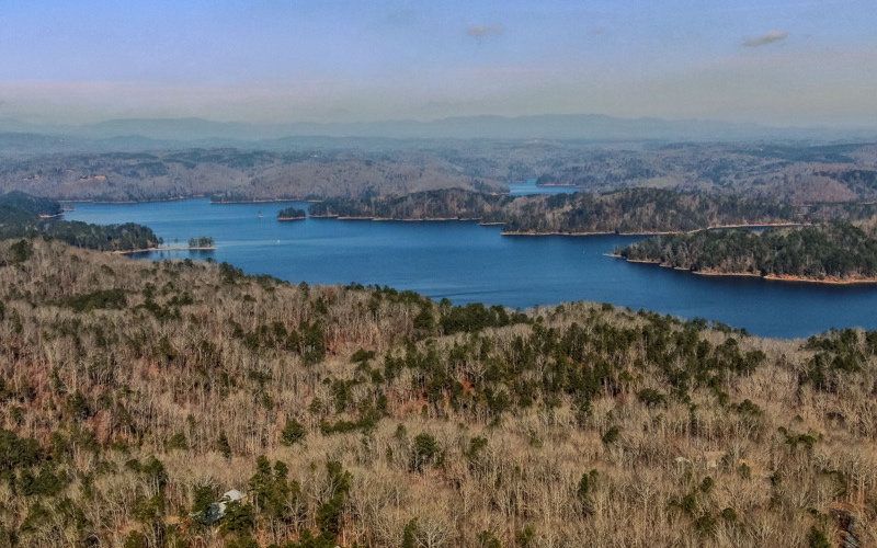 Additional View