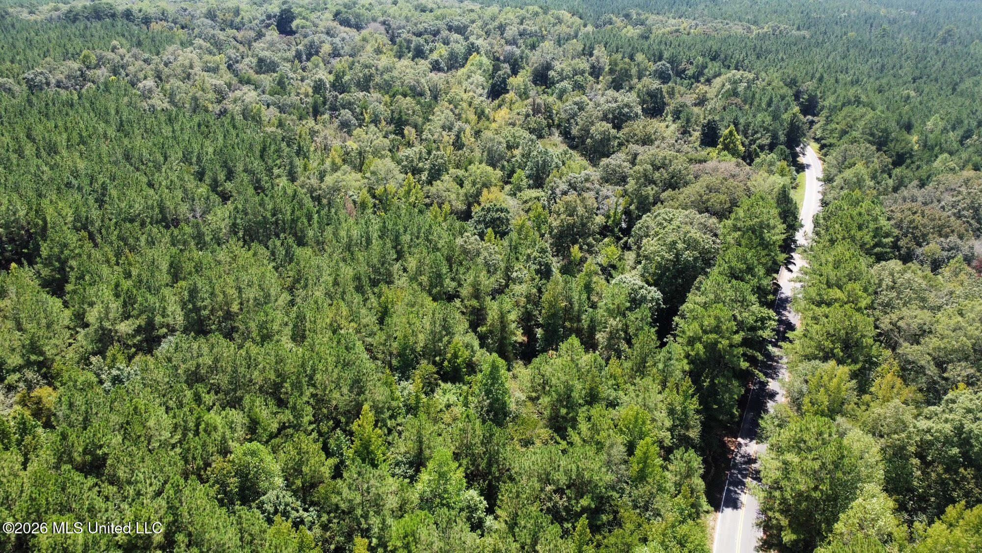 4 Clara Foote Road Braxton, MS 39044 - Photo 28 of 34 76