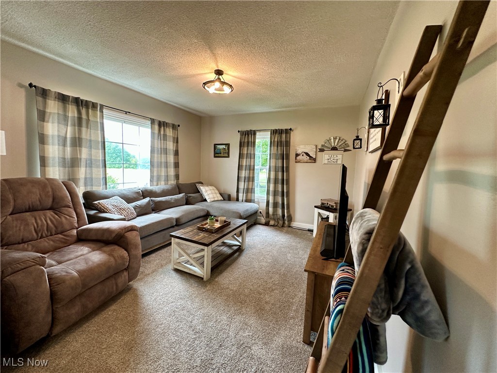 9574 Quarry Road Amherst, OH 44001 - Photo 19 of 31 Living room featuring carpet floors and a textured ceiling