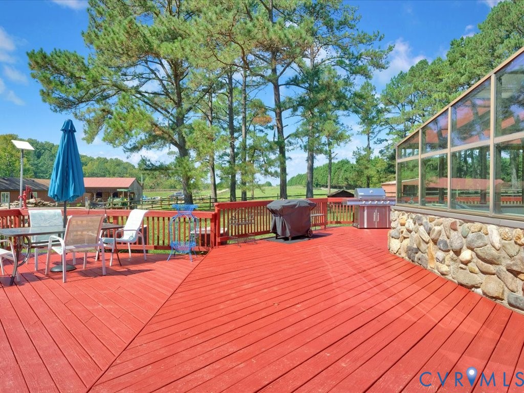 12309 Pinhook Road Rockville, VA 23146 - Photo 47 of 50 Expansive deck with built-in grilling station and