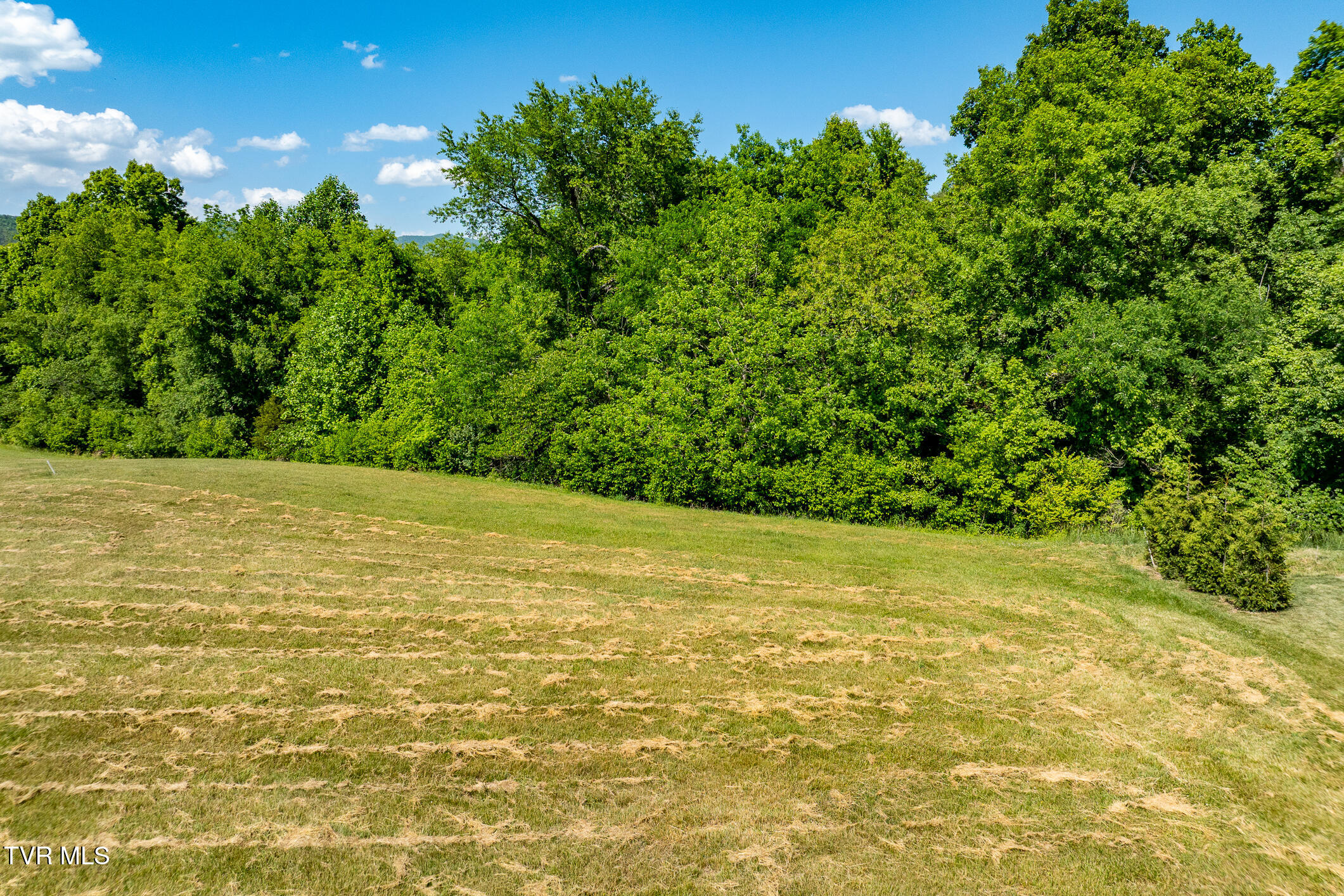 Tbd Deer Ridge Court, Unit LOT 6 Butler, TN 37640 - Photo 8 of 33 DEER RIDGE CT (18 of 34)