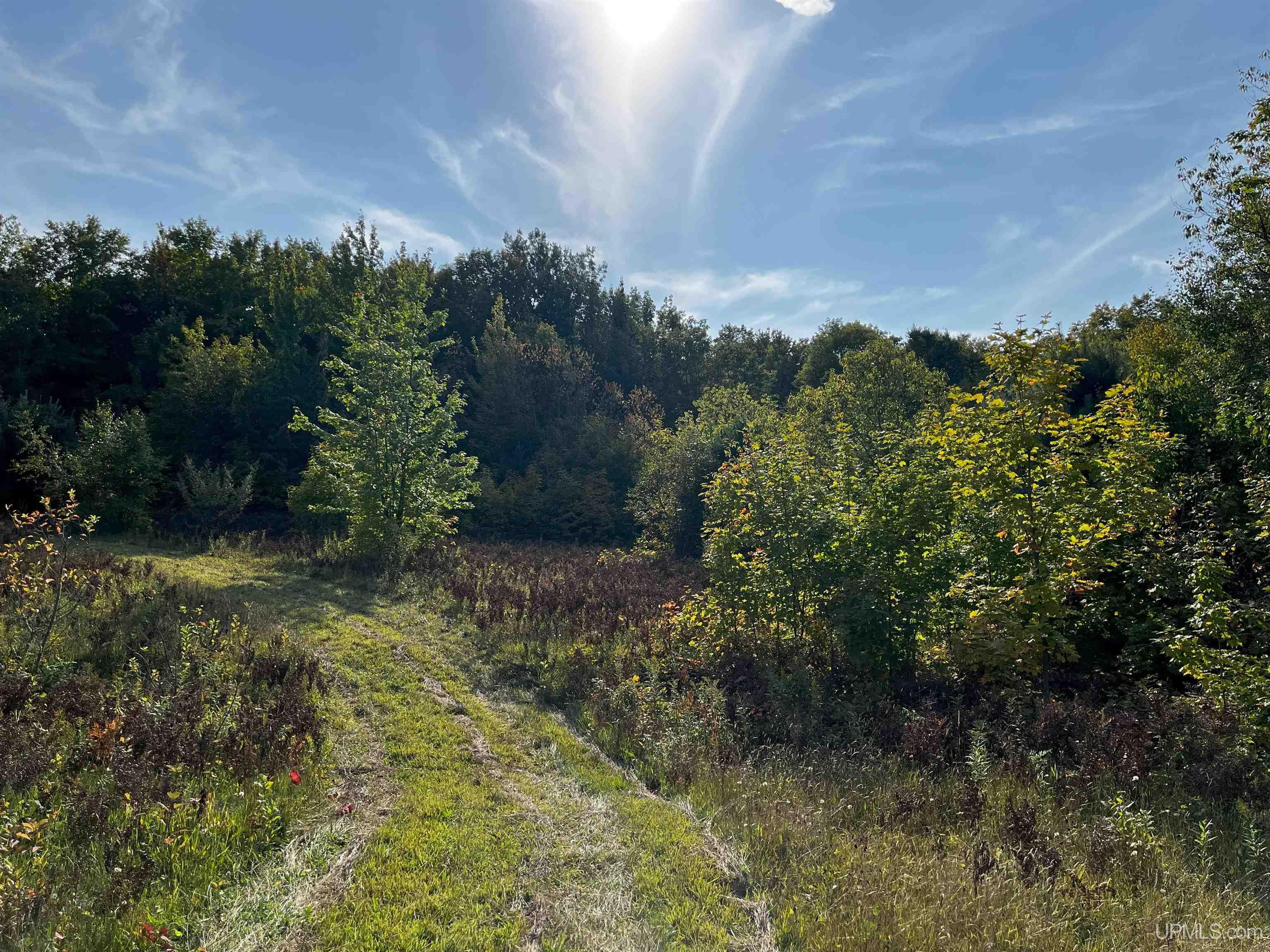 Tbda Worham Road Chassell, MI 49916 - Photo 19 of 28