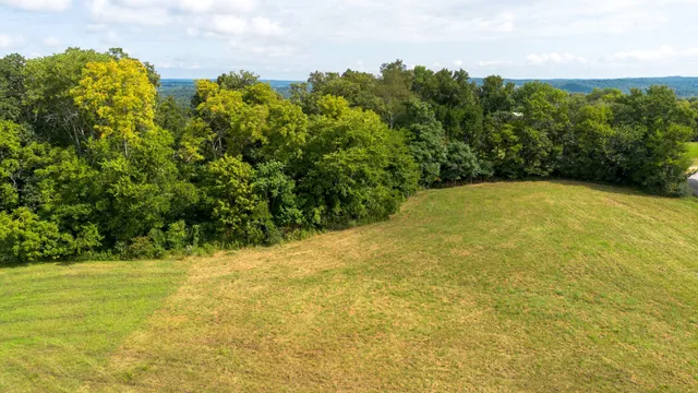 a view of a city with lush green forest