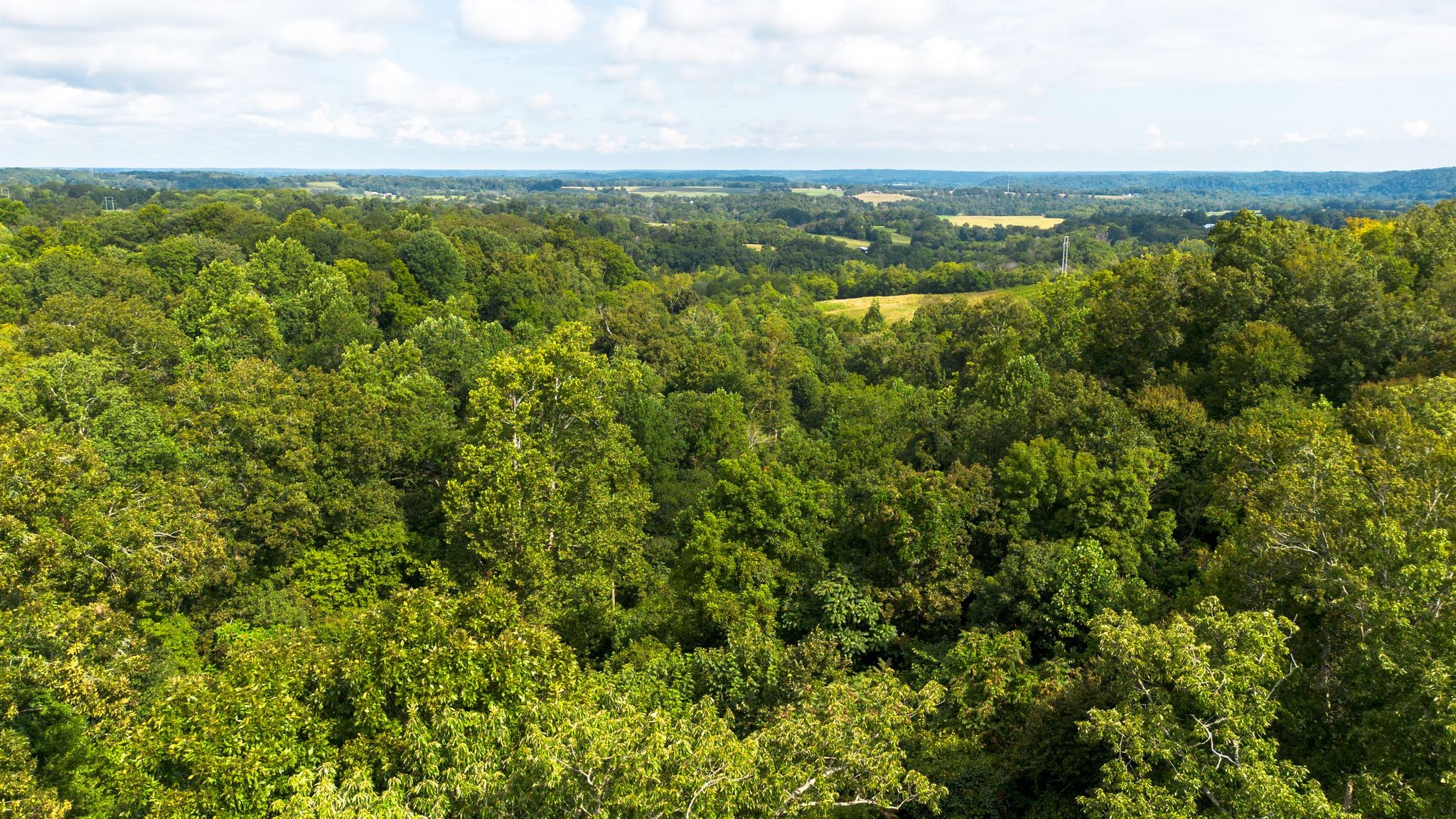 2332 Mobley Ridge Road Duck River, TN 38454 - Photo 21 of 22 a view of a city with lush green forest