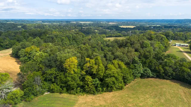a view of a city with lush green forest