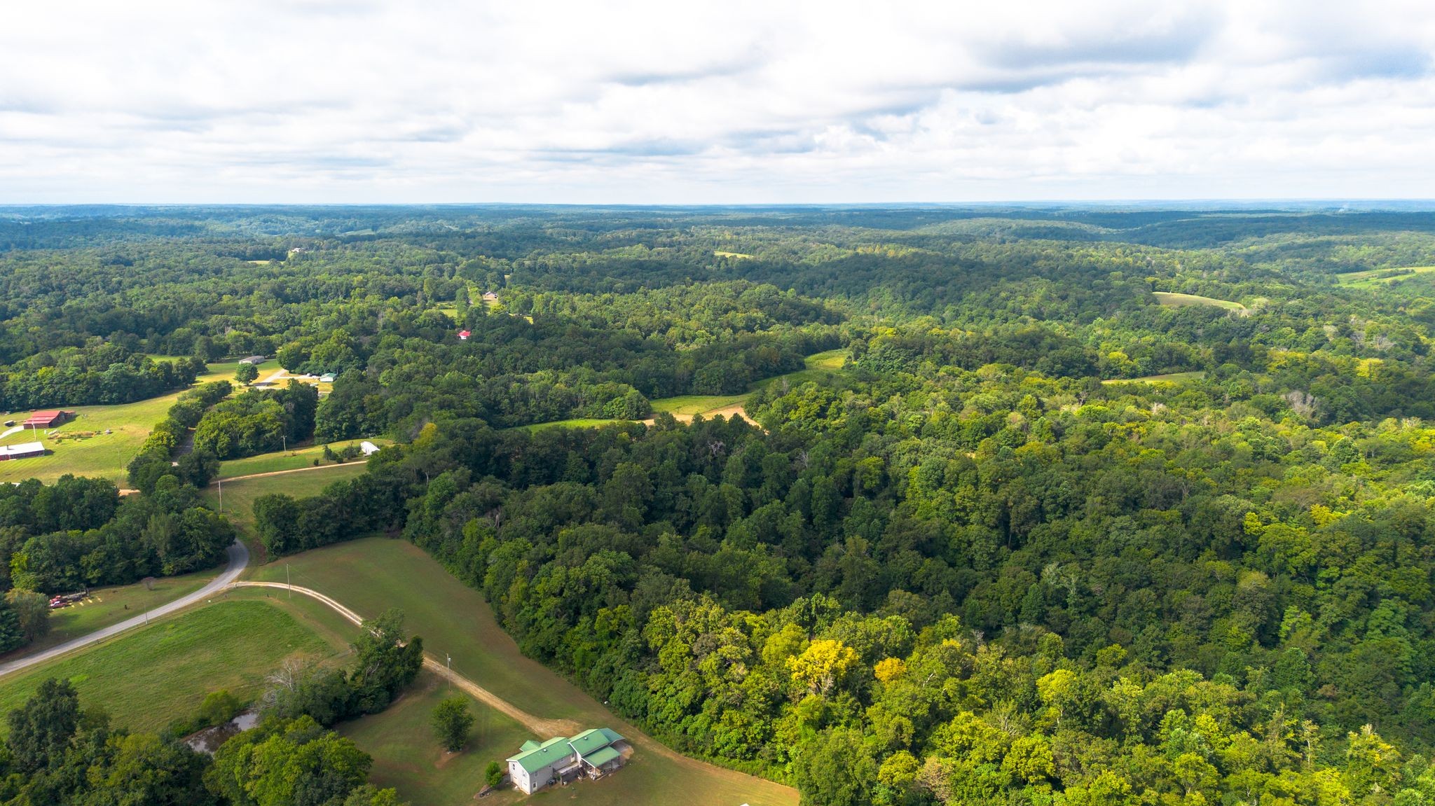 2332 Mobley Ridge Road Duck River, TN 38454 - Photo 10 of 22 a view of a city with lush green forest