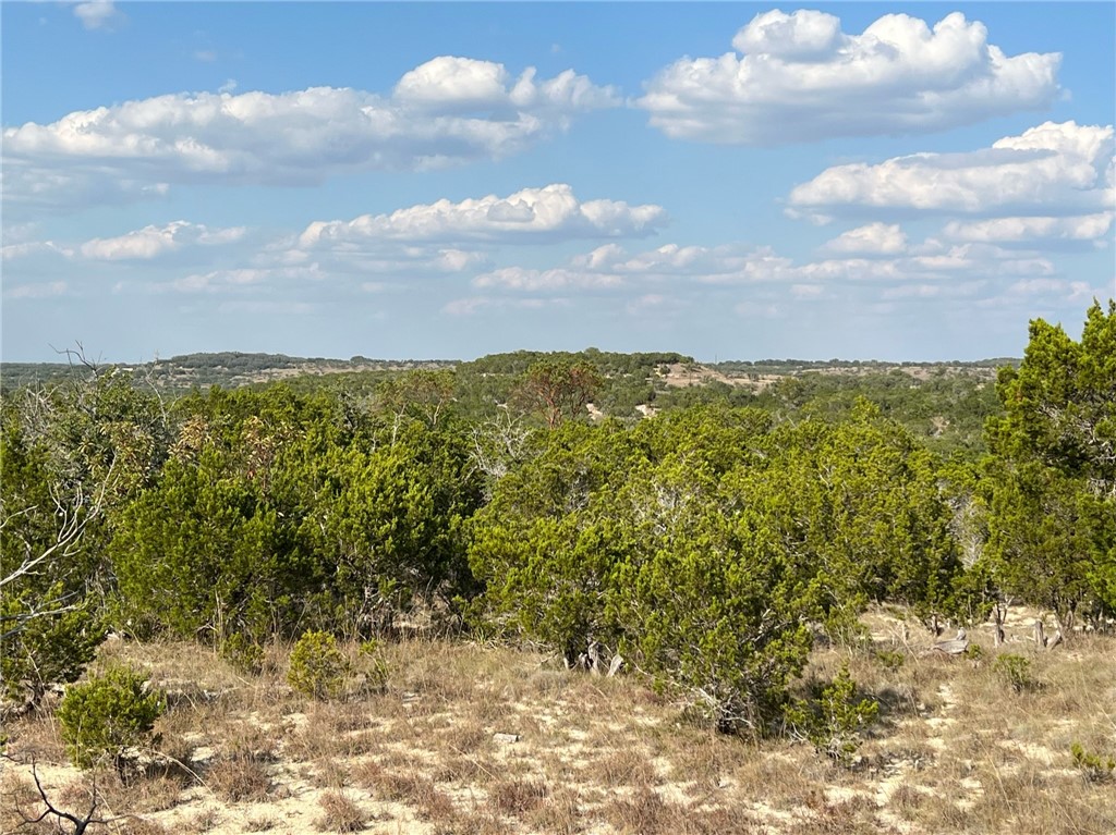 3100 Stagecoach Ranch Loop Dripping Springs, TX 78620 - Photo 1 of 1 Hill-top panoramic views