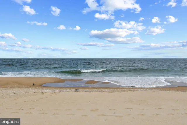 a view of an ocean beach