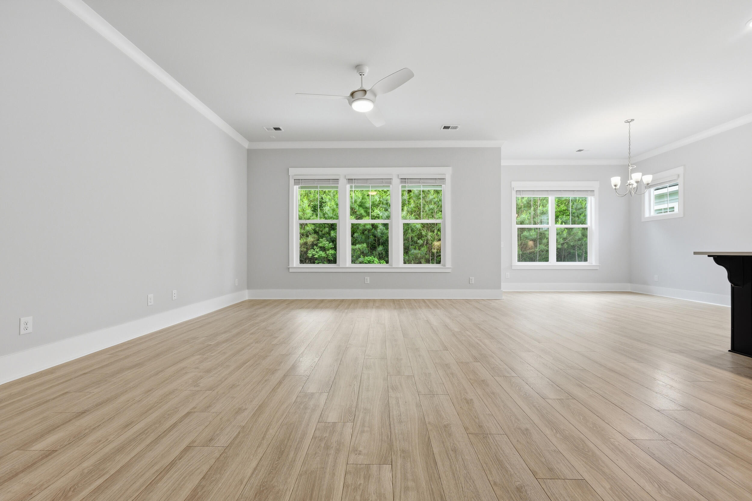 3515 Matisse Street Charleston, SC 29492 - Photo 11 of 44